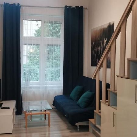 New Cosy Studio كارلوفي فاري المظهر الخارجي الصورة